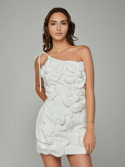 Alesha Floral Applique Mini Dress