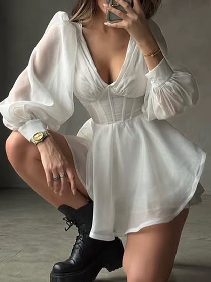 Camille Sheer Sleeve Mini Dress