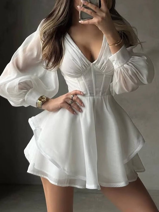Camille Sheer Sleeve Mini Dress