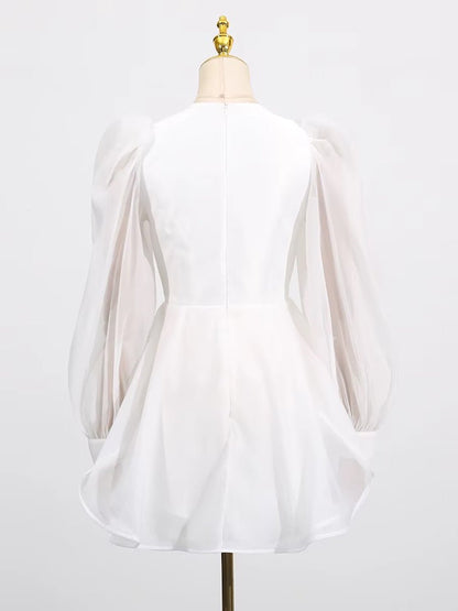 Camille Sheer Sleeve Mini Dress