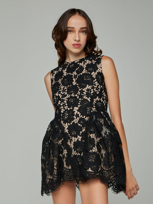 Demetria Sleeveless Lace Mini Dress