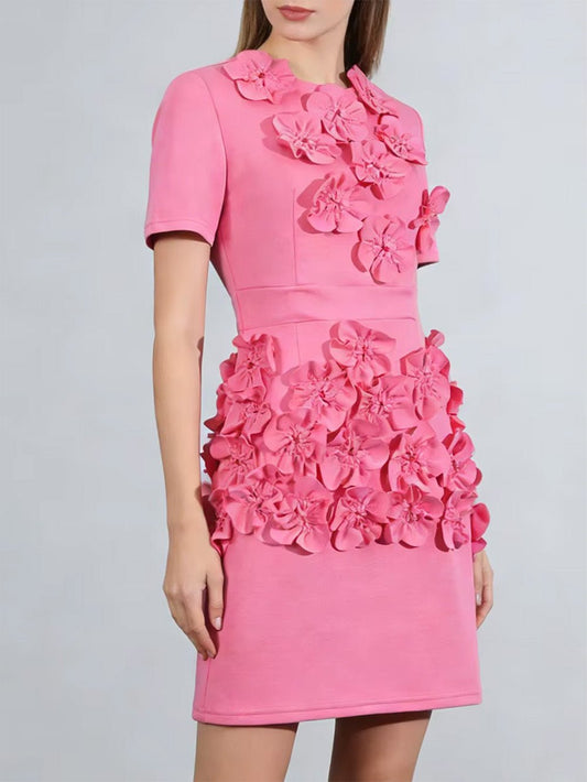 Isabella Floral Applique Mini Dress